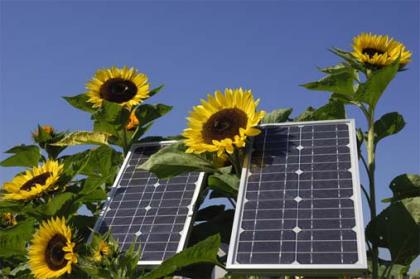 Solar System Suppliers in India